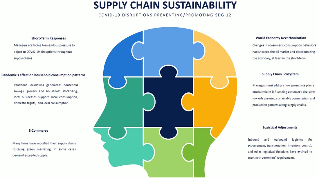 En informationsgrafik med titeln 'SUPPLY CHAIN SUSTAINABILITY' presenterad som ett pussel i form av ett mänskligt huvud. Den innehåller avsnitt om COVID-19-störningar, utfasning av fossila bränslen, konsumtionsmönster, e-handel och logistiska justeringar – alla centrala aspekter av hållbar leverantörskedjehantering. Pusselformatet illustrerar effektivt hur dessa komponenter samverkar.